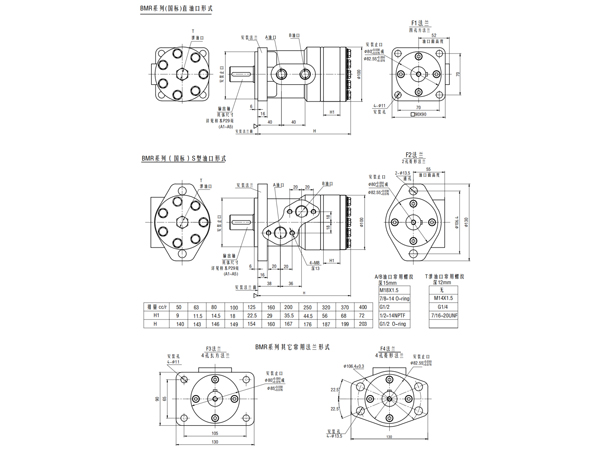擺線液壓馬達bmr